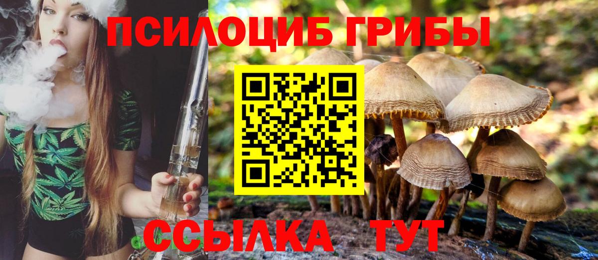 Псилоцибиновые грибы Cubensis Краснодар