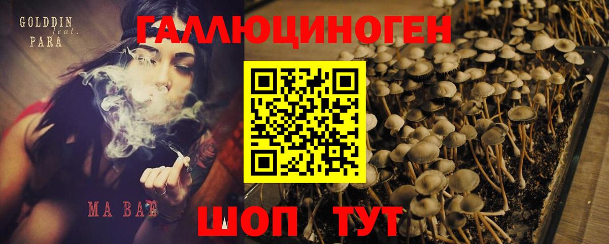 Краснодар  наркотики  Вход с VPN  Галлюциногенные грибы Magic Shrooms 